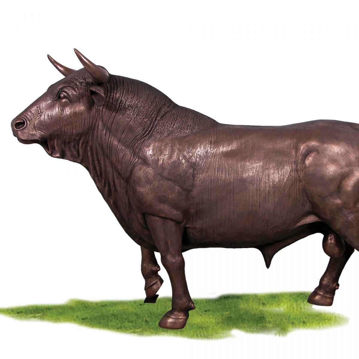 Natureworks Australia Bronze Spanish Bull statue ideal for your office or themed event