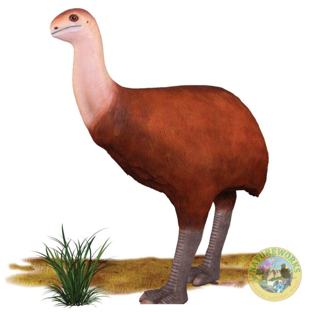 Bullockornis megafauna bird