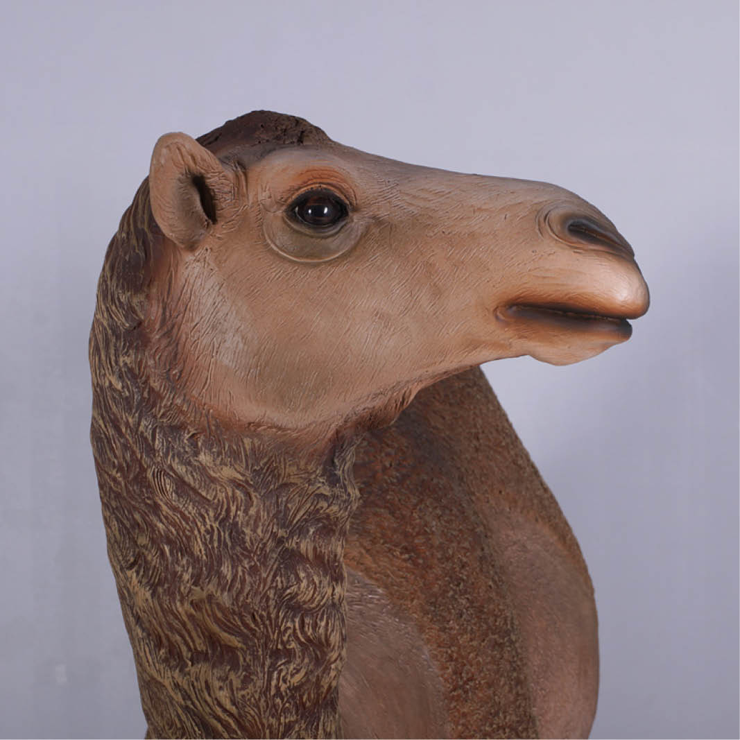 Natureworks Australia Camel statue - dromedary adult 1 hump female - 130007 - close up of head detail