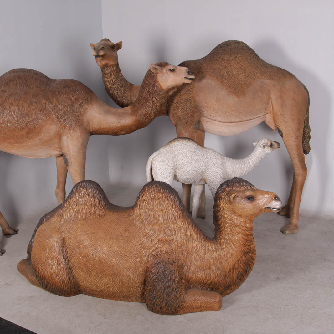 Natureworks Australia Camel statue - Dromedary adult 1 hump female - 130007- showing a collection of dromedary and -2 hump Bactrian sitting camels