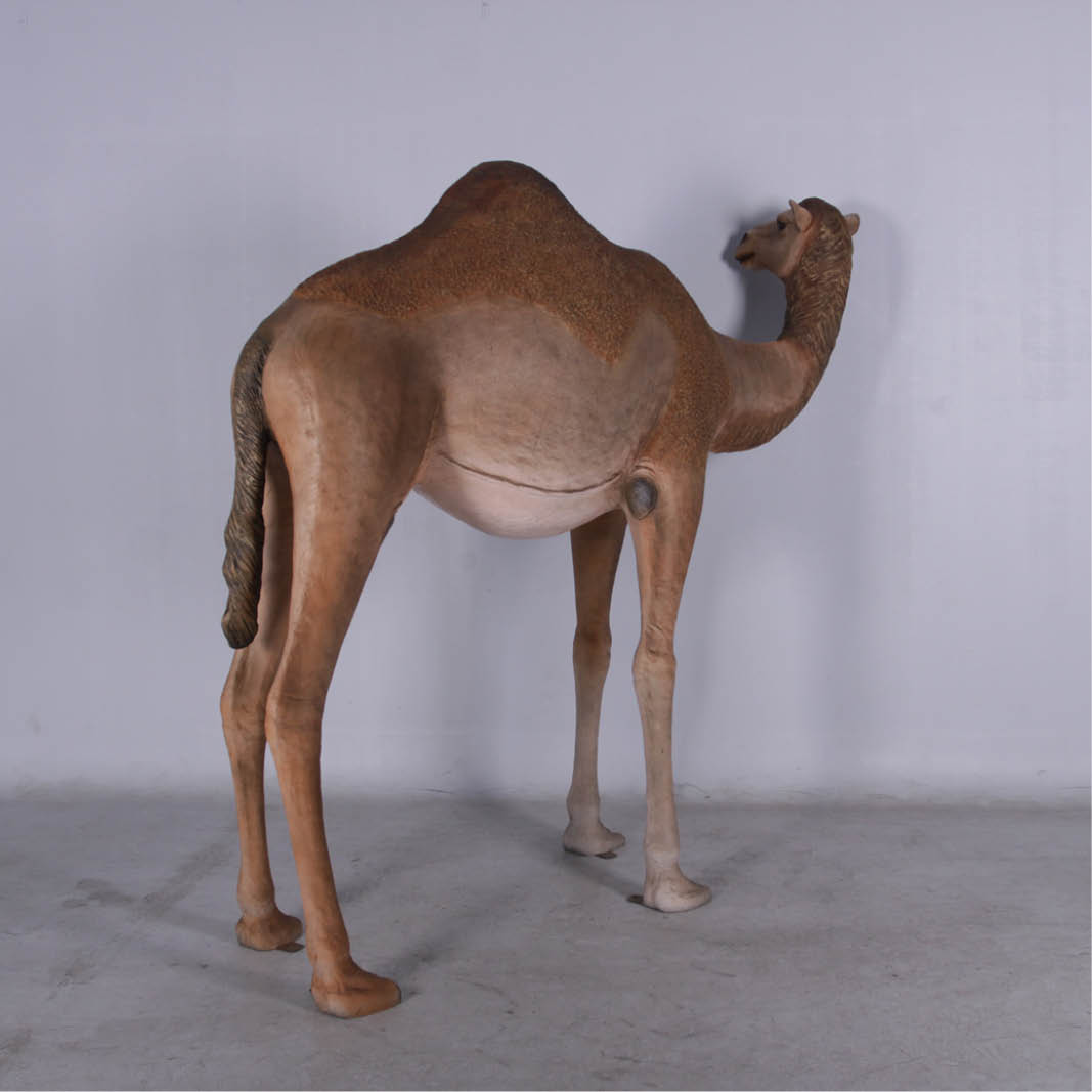 Natureworks Australia Camel statue - dromedary adult 1 hump female - 130007 -rear angle view