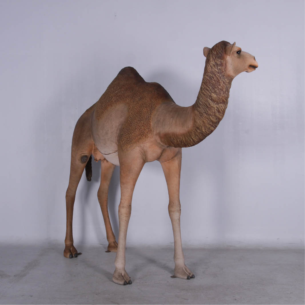 Natureworks Australia Camel statue - dromedary adult 1 hump female - 130007 - front angle view