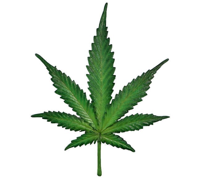 Cannabis Leaf Sculpture