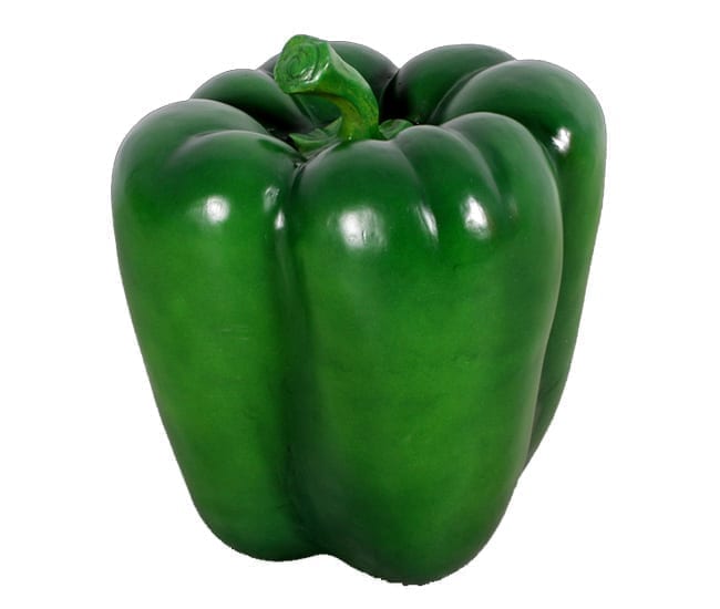 Capsicum Pepper Green Green