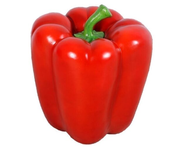 Capsicum Pepper Red Red