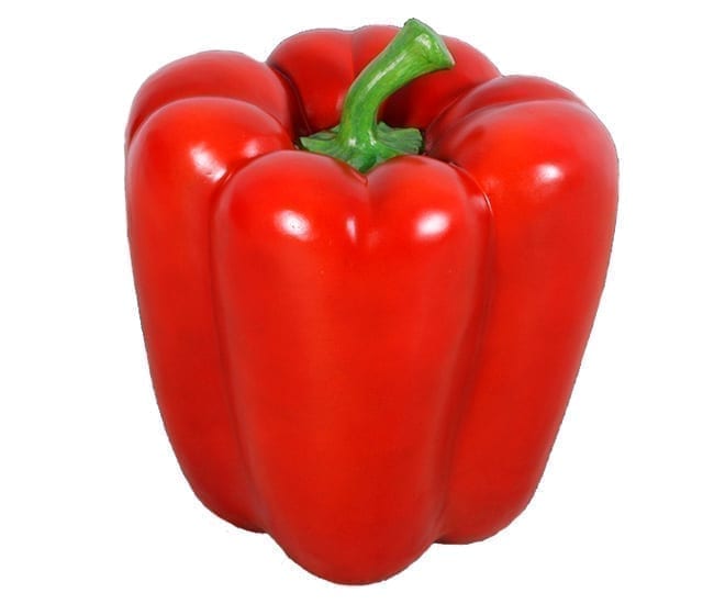 Capsicum Pepper Red Red