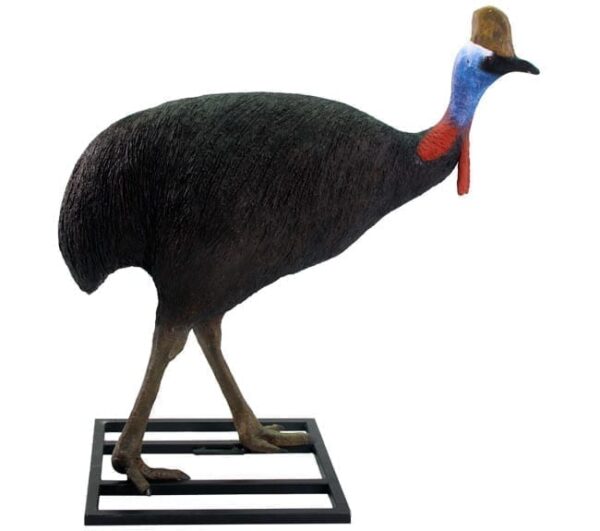 Cassowary Sculpture