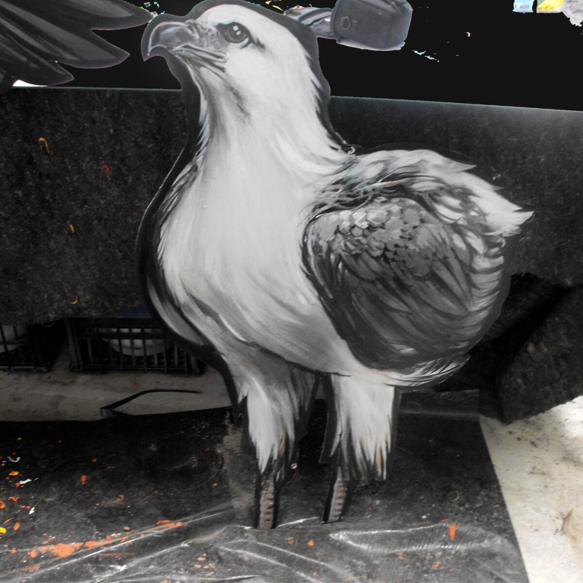 Natureworks Australia Catch a crab - Mural and giant nippers entry statement. showing eagle mural in production at Natureworks