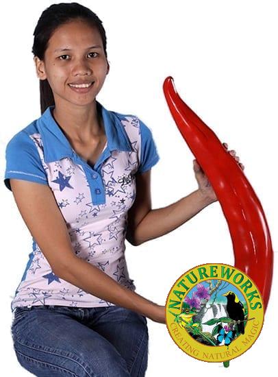 Chilli Girl