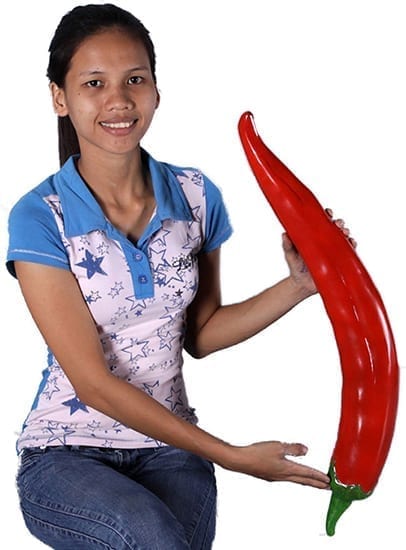 Chilli Girl