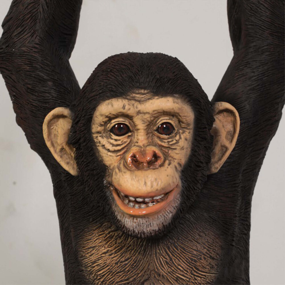 Chimpanzee hanging - close up of head detal - 120040