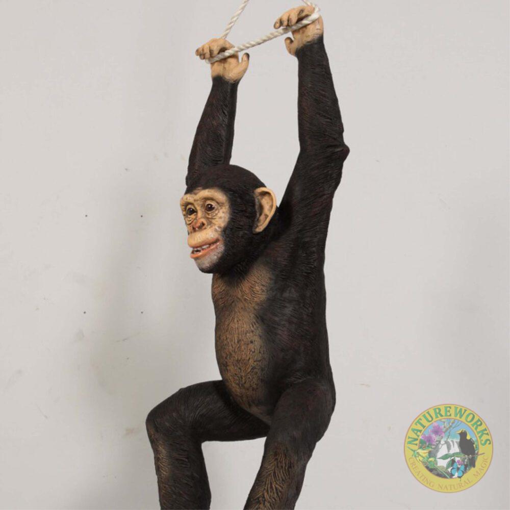 Natureworks Australia Chimpanzee hanging - angle view - 120040
