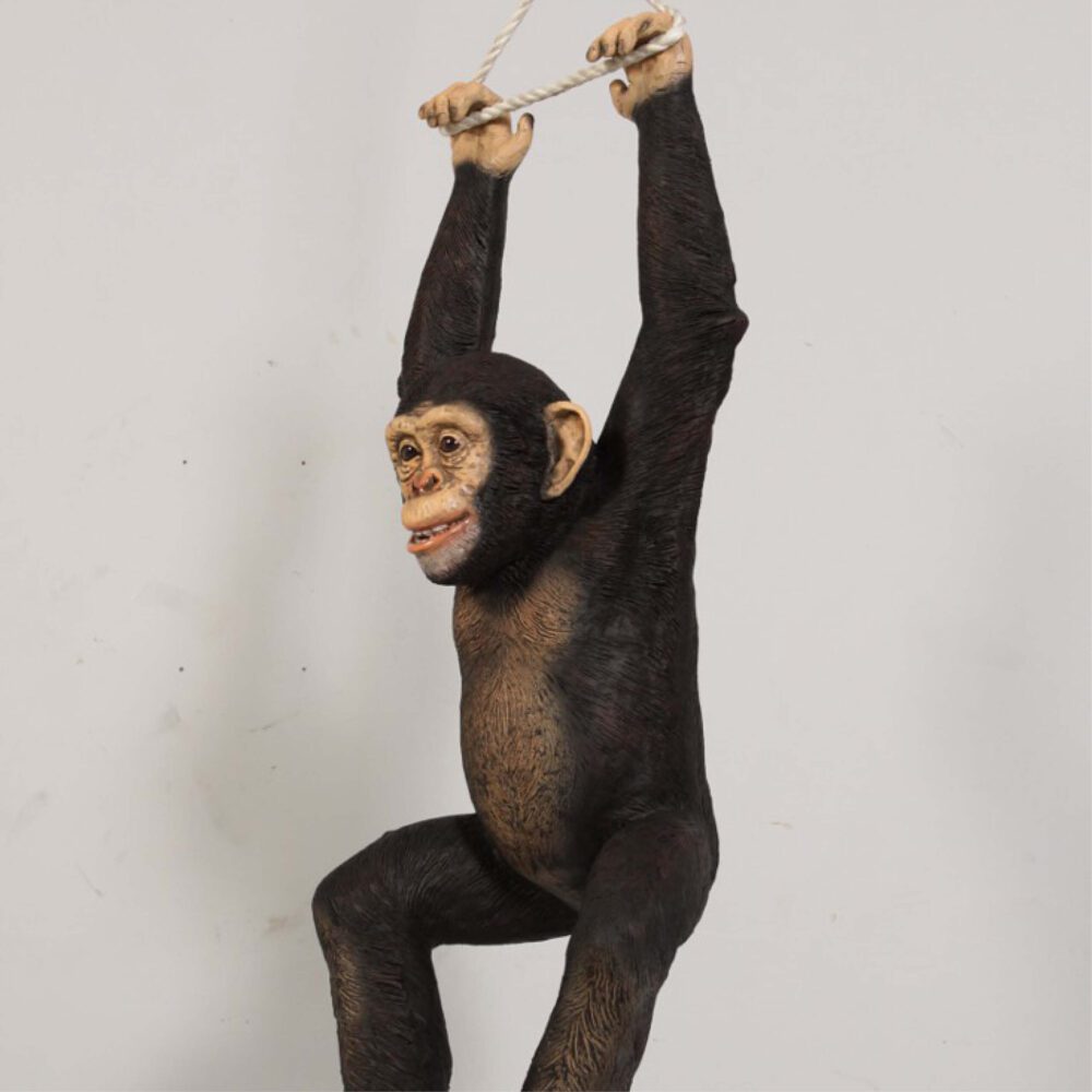 Natureworks Australia Chimpanzee hanging - angle view - 120040