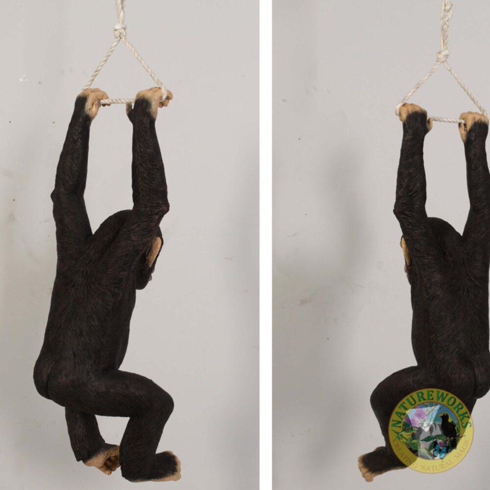 Natureworks Australia Chimpanzee hanging - angle rear views- 120040