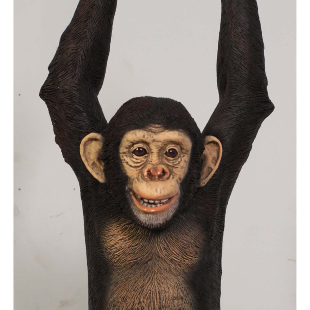 Natureworks Australia Chimpanzee hanging - 120040 front view
