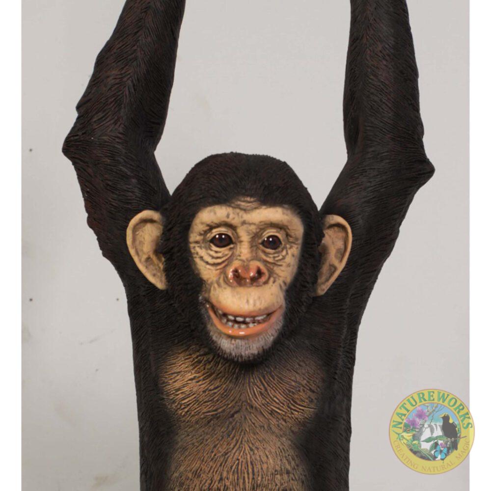 Natureworks Australia Chimpanzee hanging - 120040 front view