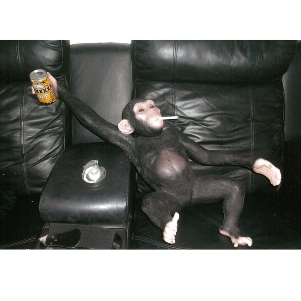 Yes one too many! - chimpanzee hanging usually but lying here - customer shared this photo with us