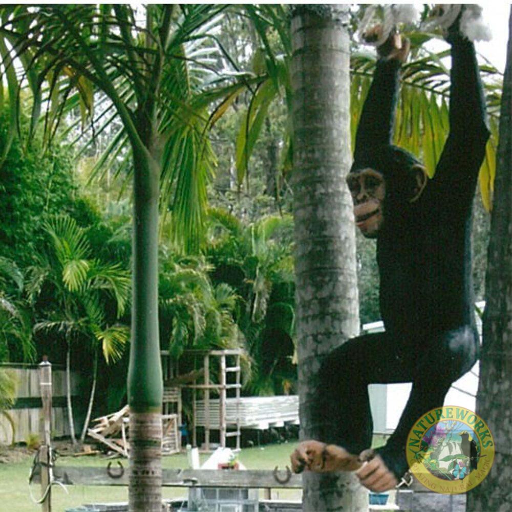 Natureworks Australia Hanging in the trees on a shady day, and lovin the breeze - chimpanzee hanging - 120040 statue
