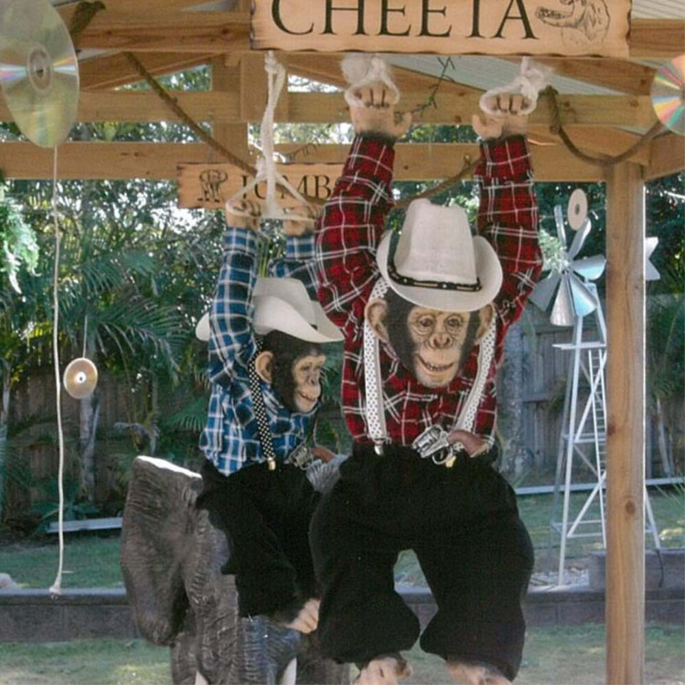 Another customer photo - just hanging around with his mates - 120040 chimpanzee hanging