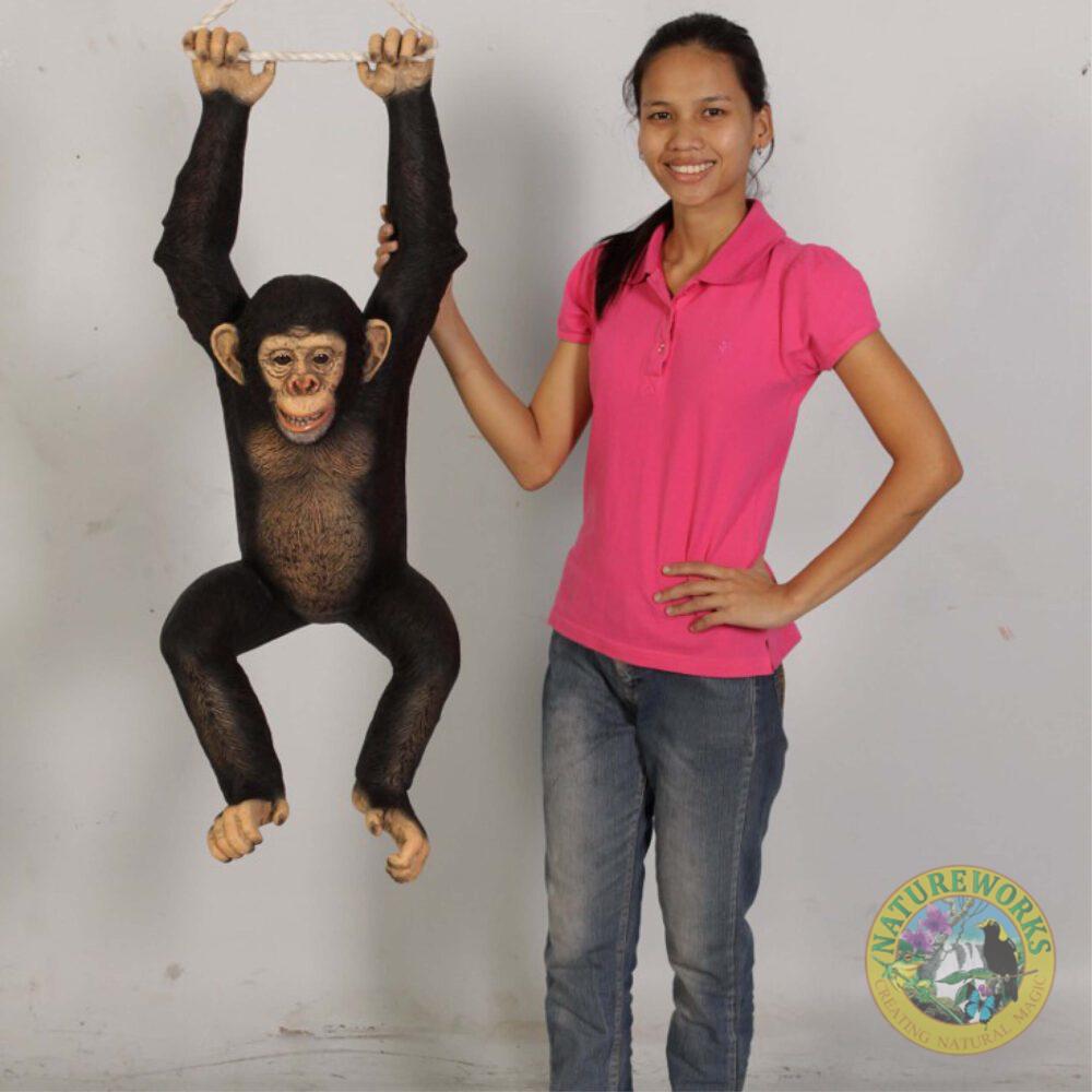 Natureworks Australia Chimpanzee hanging - 120040 statue - shown with lady