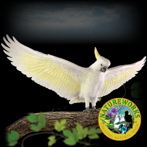 Cockatoo m on tree branch