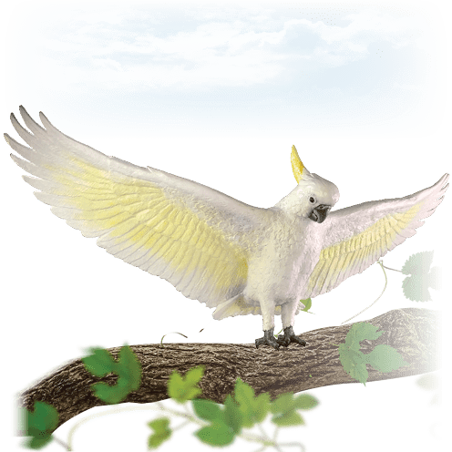 Cockatoo m on tree branch