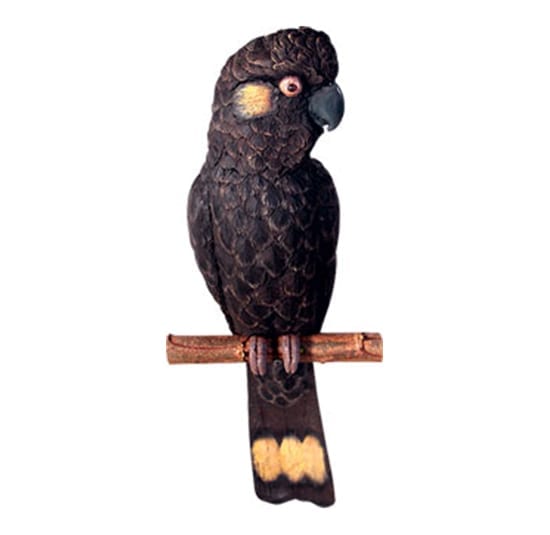 Cockatoo Black Yellow Tailed