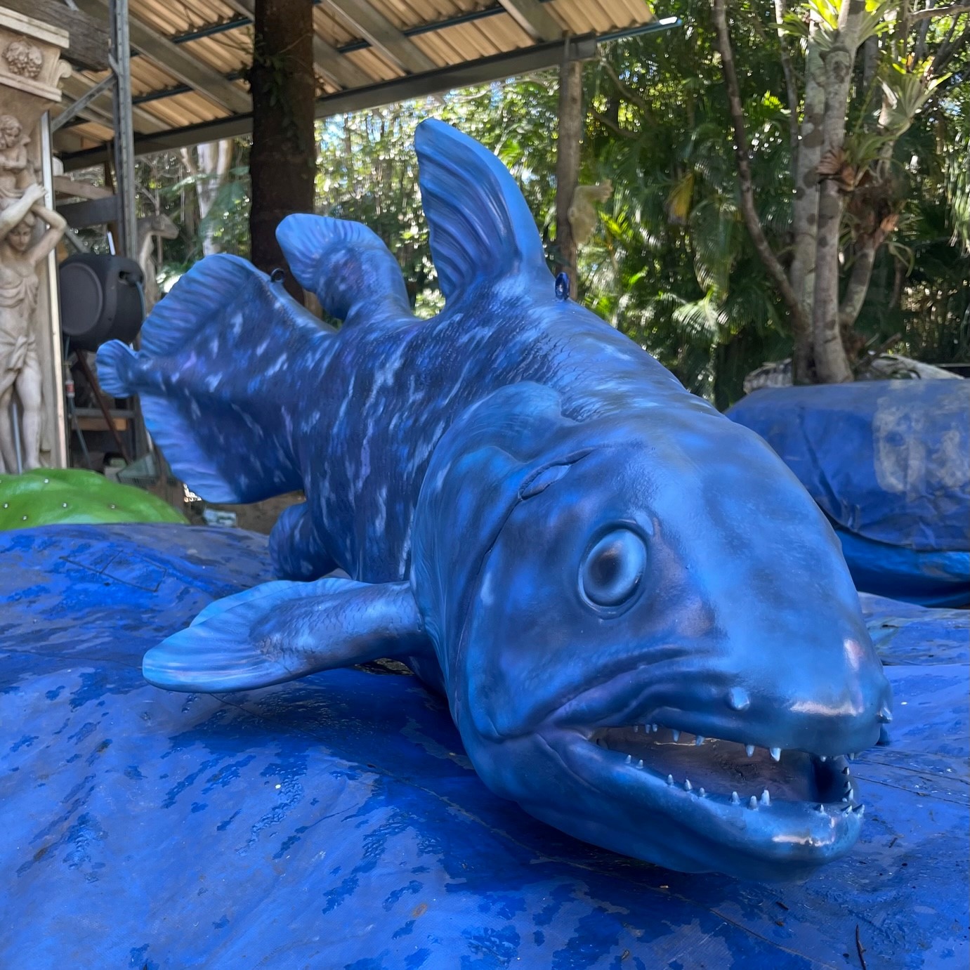 Natureworks Australia Coelacanth photo - by Natureworks Artists - Front angle View