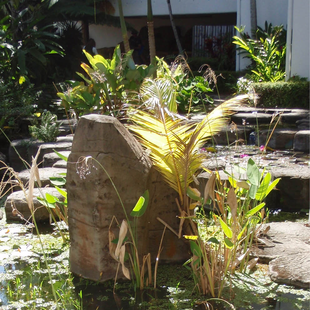 Natureworks Australia Columnar Jointing Port Douglas