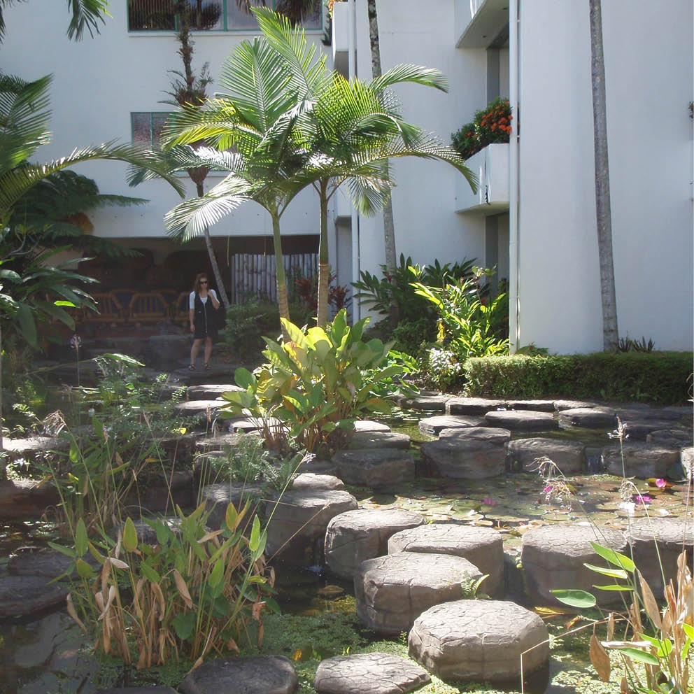 Natureworks Australia Columnar Jointing Port Douglas