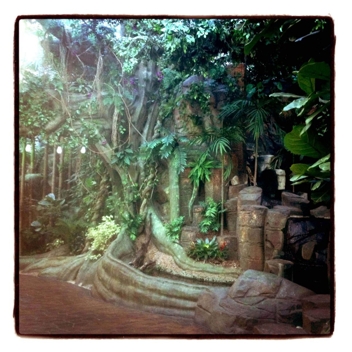 Natureworks Australia Commercial Fitouts Bankstown Sports Club V trees and rockwork scaled