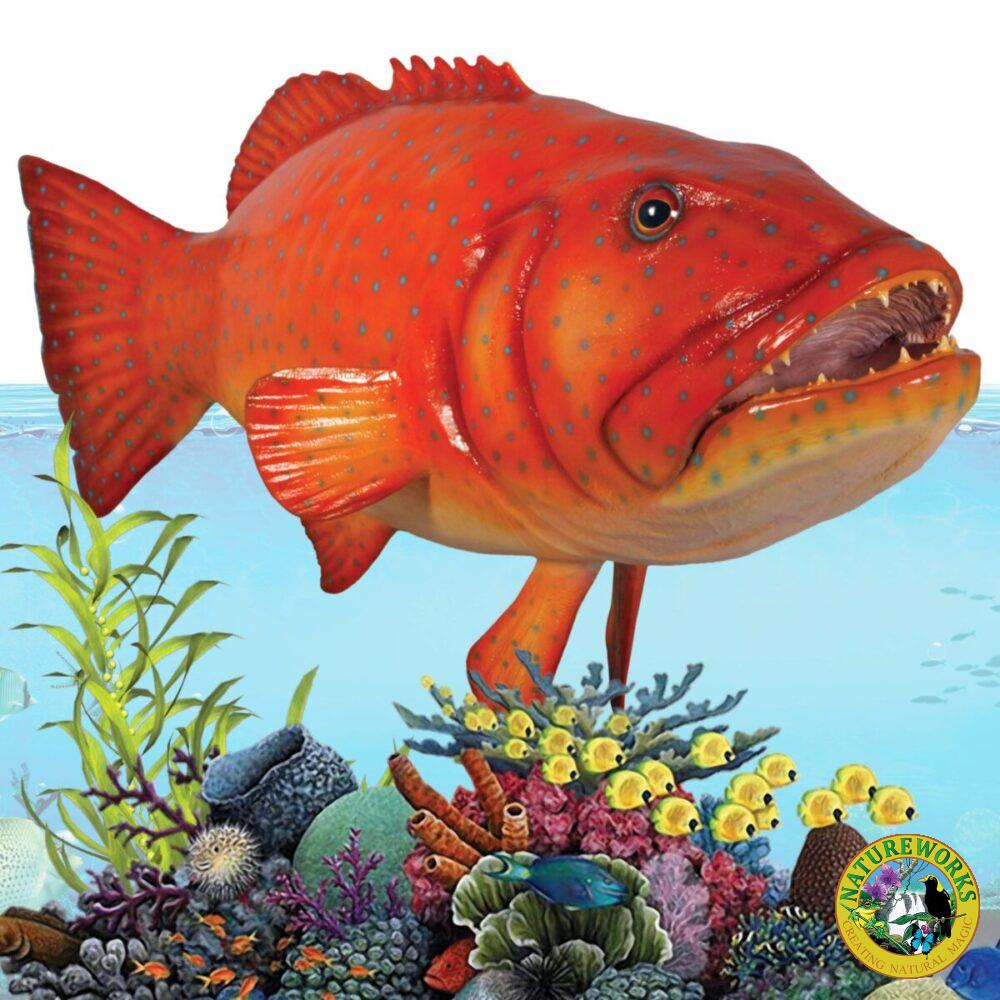 Coral trout fish - Giant hanging 120045hanging - showing best angl- showing teeth, fins and eys