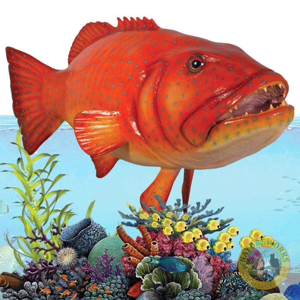 Coral trout fish - Giant hanging 120045hanging - showing best angl- showing teeth, fins and eys