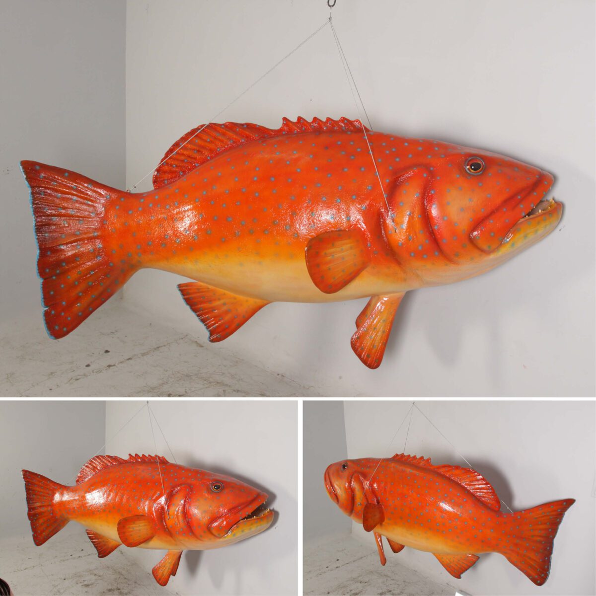 Natureworks Australia Coral trout fish - Giant hanging 120045hanging - showing a collection of various angles - hanging v2