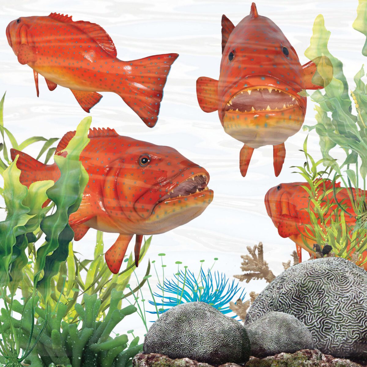 Natureworks Australia Coral trout fish - Giant on stand - 120045hanging -showing variuos views