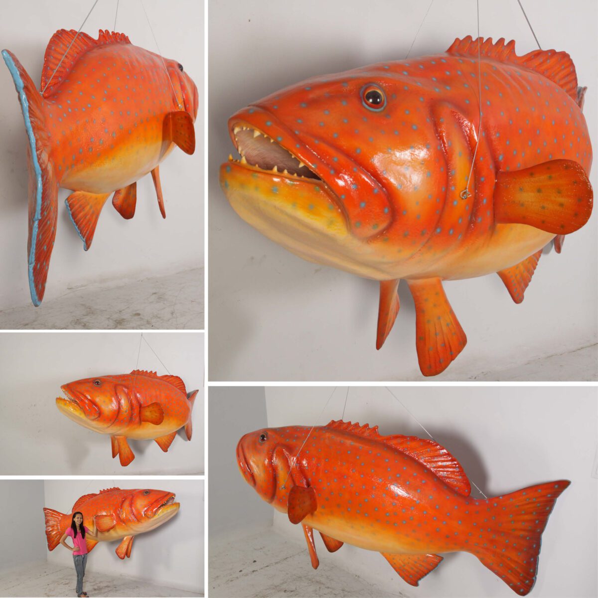 Natureworks Australia Coral trout fish - Giant hanging 120045hanging - showing a collection of various angles - hanging