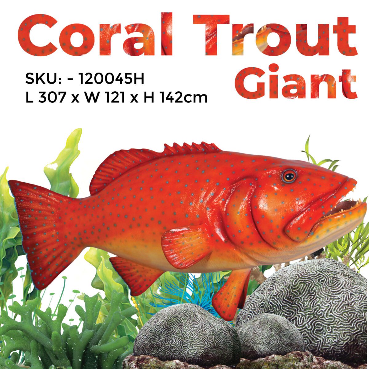 Natureworks Australia Coral trout fish - Giant hanging 120045hanging - shown - with sizes