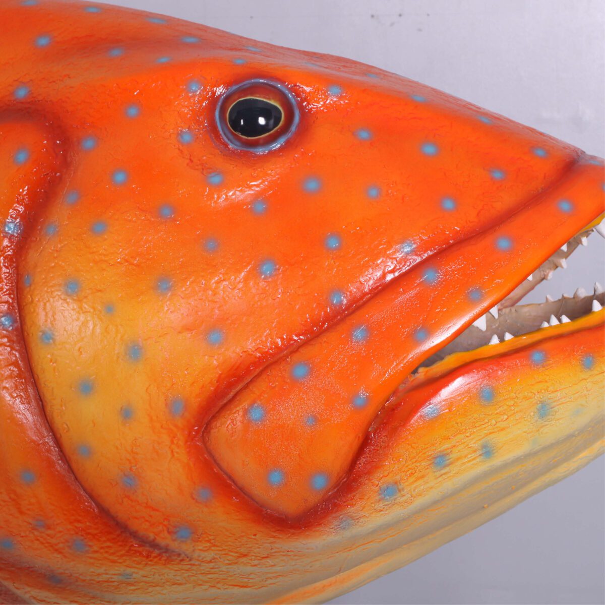 Natureworks Australia Coral trout fish - Giant on stand - 120045stand - close up of head