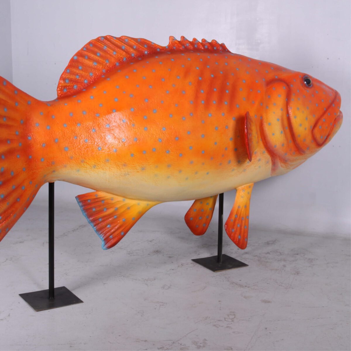 Natureworks Australia Coral trout fish - Giant on stand - 120045stand - rear angle view