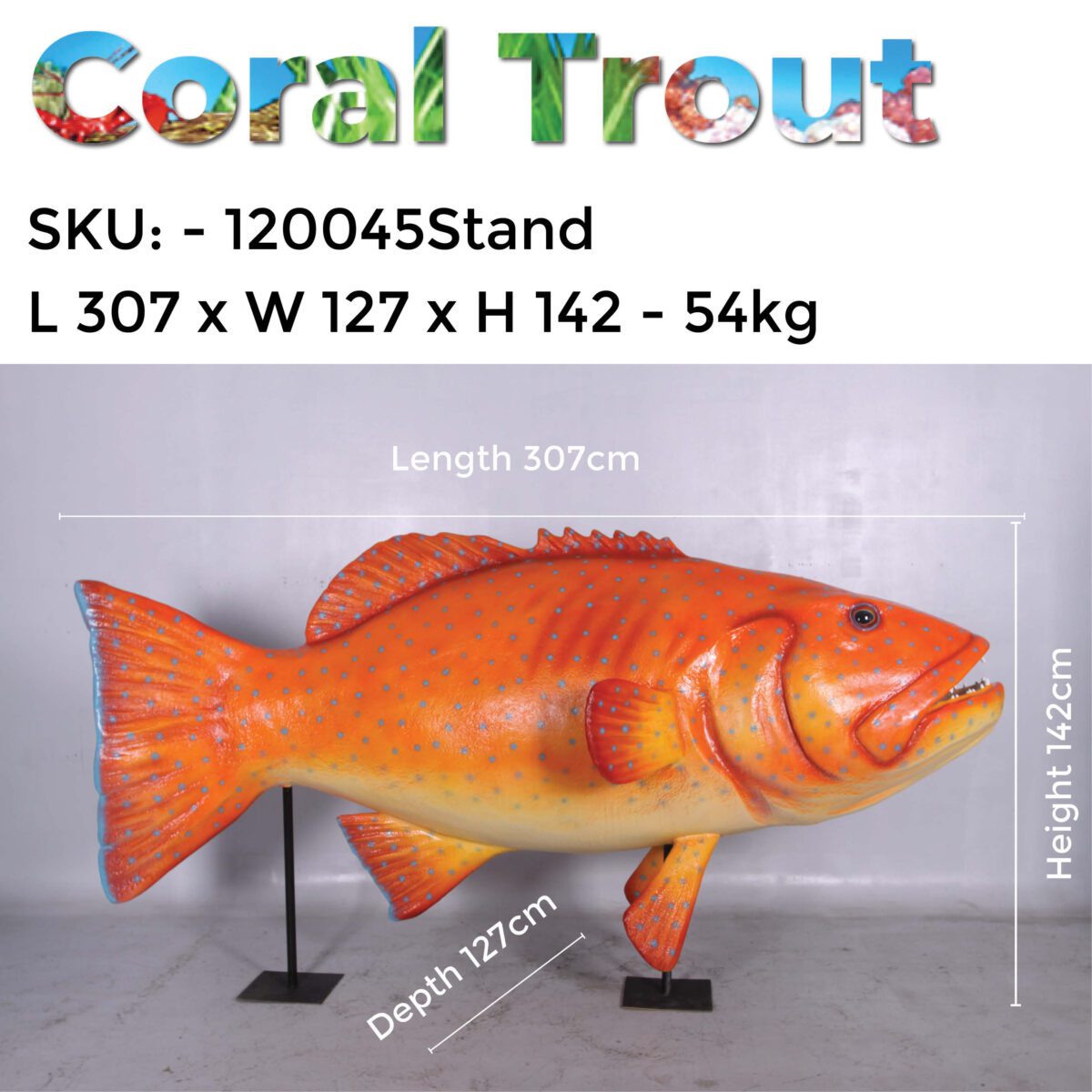 Natureworks Australia Coral trout fish - Giant on stand - 120045stand - with sizes