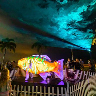 Natureworks Australia Coral Trout - White - Giant for public art displays and events - 120045White - showin with colour laser light shining on display - in Cairns Queensland - shown with coloured light
