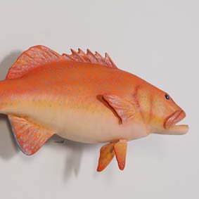 Natureworks Australia Coral trout - Natural - 120051 - life-size fibreglass replica - hand painted and manufactured - wall decor