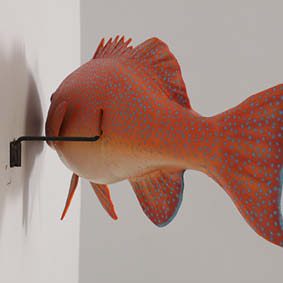 Natureworks Australia Coral trout - Natural - 120051 - life-size fibreglass replica - hand painted and manufactured - wall decor - rar view showing mounting bracket