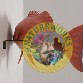 Natureworks Australia Coral trout - Natural - 120051 - life-size fibreglass replica - hand painted and manufactured - wall decor - rar view showing mounting bracket