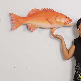 Natureworks Australia Coral trout - Natural - 120051 - life-size fibreglass replica - hand painted and manufactured - wall decor - shown with lady