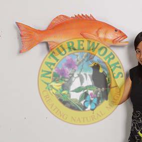 Natureworks Australia Coral trout - Natural - 120051 - life-size fibreglass replica - hand painted and manufactured - wall decor - shown with lady