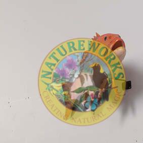 Natureworks Australia Coral trout - Natural - 120051 - life-size fibreglass replica - hand painted and manufactured - wall decor - shown mounted on wall