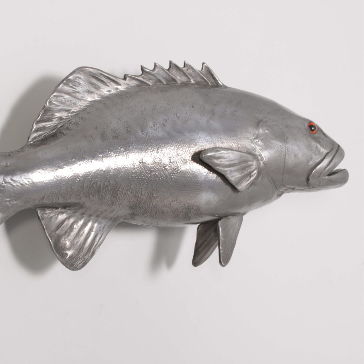 Natureworks Australia Coral trout - Polished Aluminium finish - 120051 - life-size fibreglass replica - hand painted and manufactured - wall decor