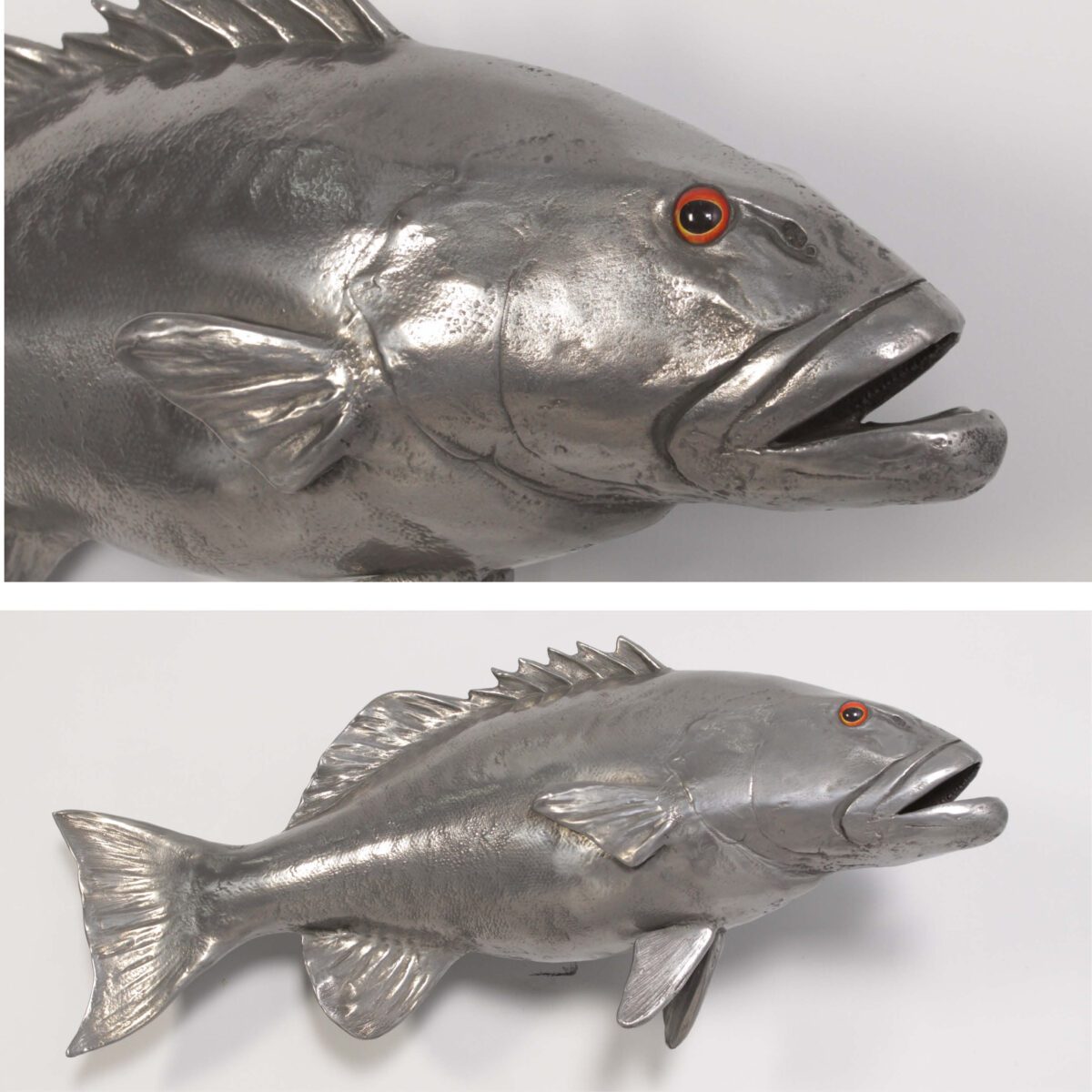 Natureworks Australia Coral trout - Polished Aluminium finish - 120051 - life-size fibreglass replica - hand painted and manufactured - wall decor - showing clode up of head