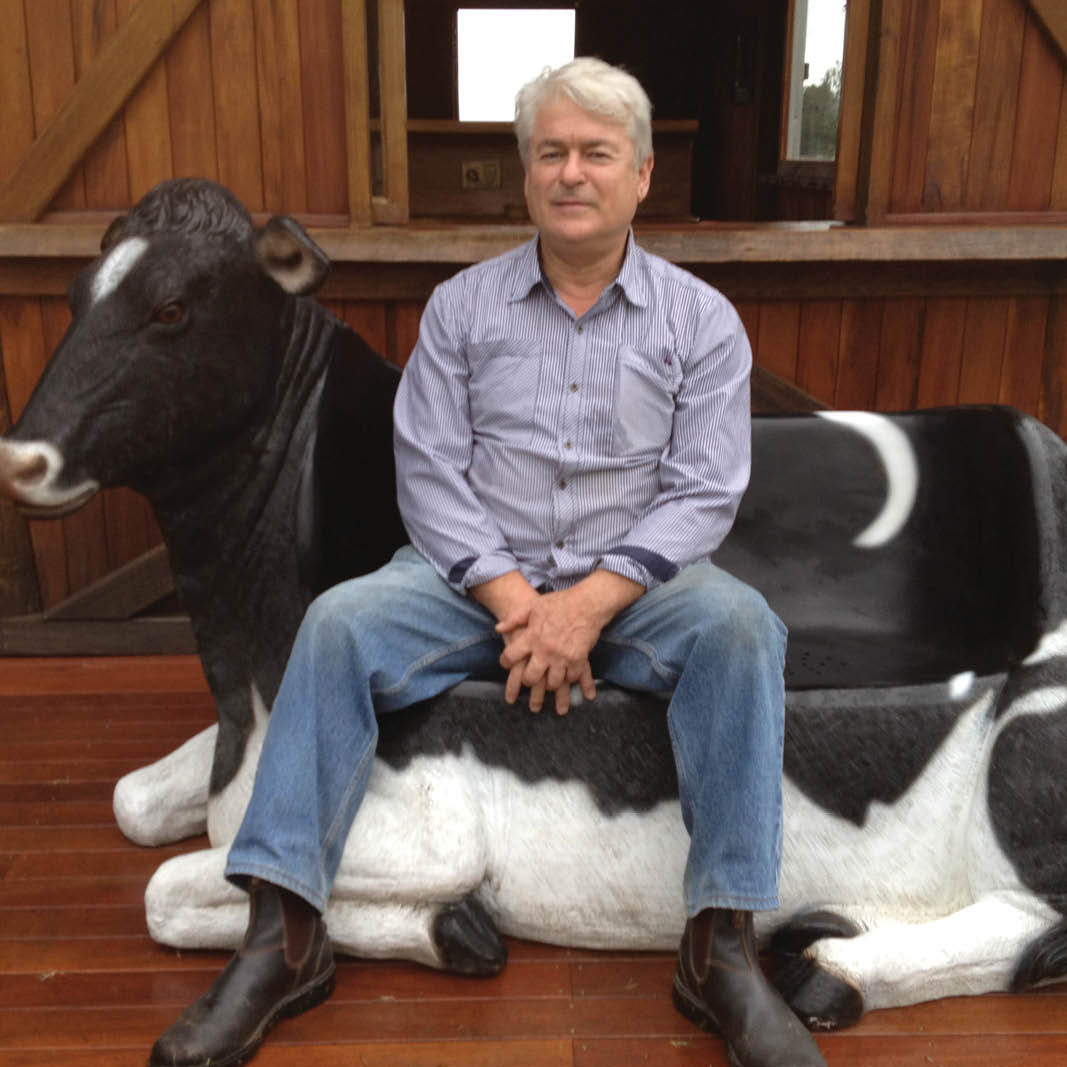 Natureworks Australia Cowch - Friesian cow settee-120020- shown outside in front of a barn